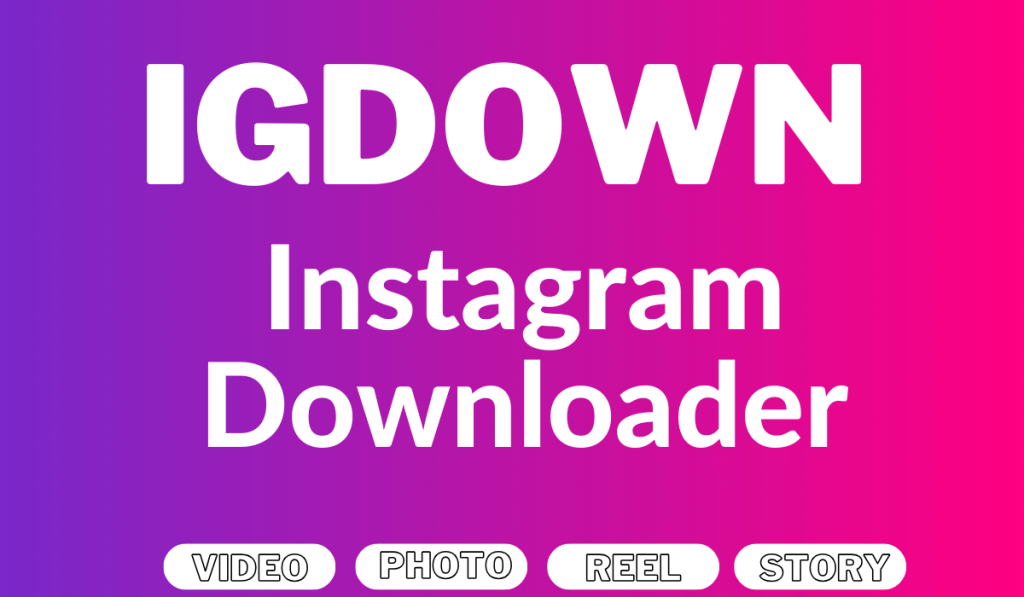 iGDown - Download Instagram Stories and Videos Anonymous